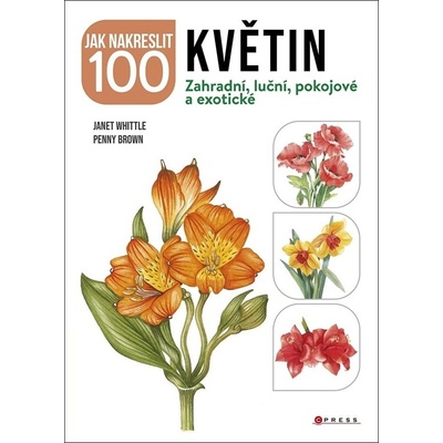 Jak nakreslit 100 květin