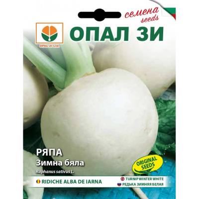 Opal Zi Ряпа Зимна Бяла