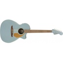 Fender Newporter Player