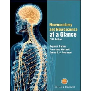 Neuroanatomy and Neuroscience at a Glance | Roger A. Barker, Francesca Cicchetti, Emma Robinson (ISBN: 9781119168416)