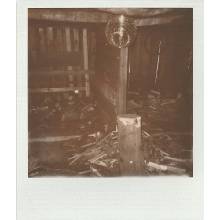 Fotopast