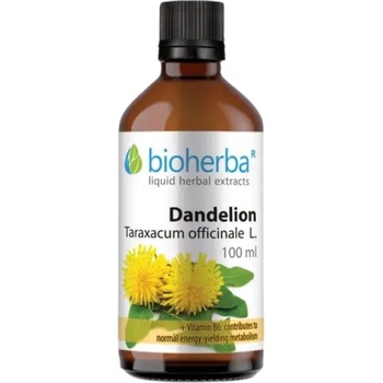 Bioherba Tincture Dandelion Root [100 мл]