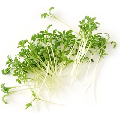 Biomiska Žerucha BIO semienka na klíčenie - 20 g , 30 g