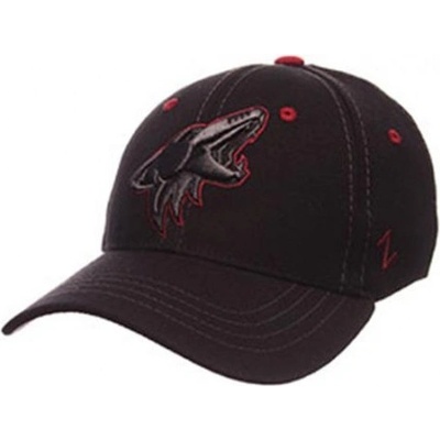 NHL Zephyr Arizona Coyotes Element CSTM