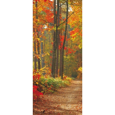 Preinterier Fototapeta - DV0020 - Les na jeseň Samolep. fólia - 91cm x 211cm