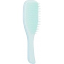 Tangle Teezer Wet Detangler Fine & Fragile Jade Lagoon kartáč na vlasy