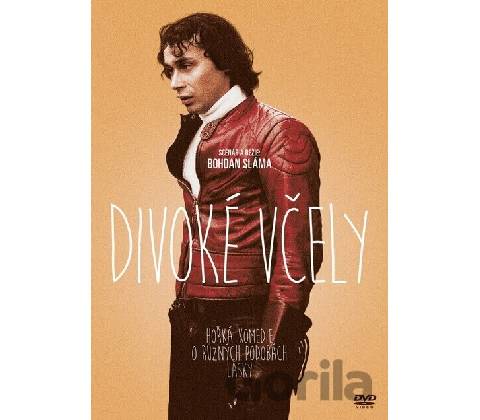 Divoké včely DVD