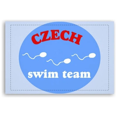 Fotoobraz 60x40 cm malý Czech swiming team
