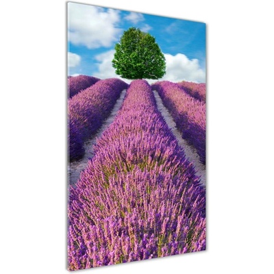 Vertikálny foto obraz sklenený Pole levanduľe 50x100 cm