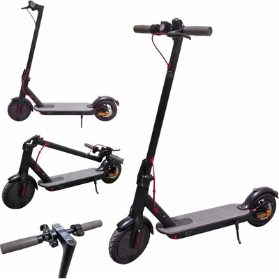 Velora S103