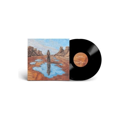 PROTOJE - THE ART OF ACCEPTANCE 2 LP