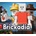 Brickadia