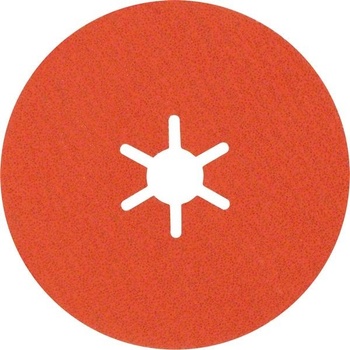 Bosch 2.608.621.818 25 ks