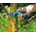 GARDENA 200P (8743-20)