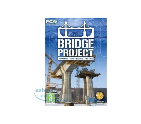 Bridge Project