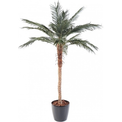 Umělá palma Phoenix, 210cm