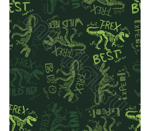 Softshell s beránkem t-rex by MIMI