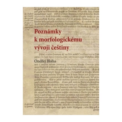 Poznámky k morfologickému vývoji češtiny