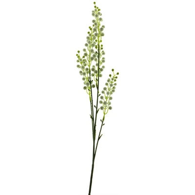 Citlivka - Mimosa (spray) krémová 69 cm