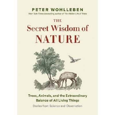 The Secret Network of Nature: Trees, Animals, and the Extraordinary Balance of All Living Things-- Stories from Science and Observation | Jane Billinghurst