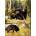 Norimpex - Puzzle Diamant painting: Bears in a clearing 30x40cm - 1 - 39 piese
