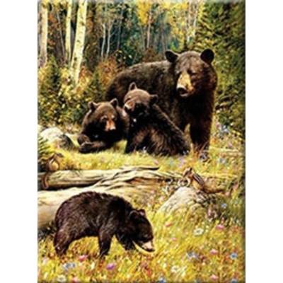 Norimpex - Puzzle Diamant painting: Bears in a clearing 30x40cm - 1 - 39 piese