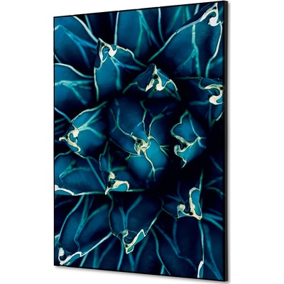 Jansen Display Textilní dekorace na zeď A2 Cactus modrá, 420 x 594 mm