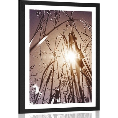 Plakát s paspartou polní tráva - 60x90 no frame