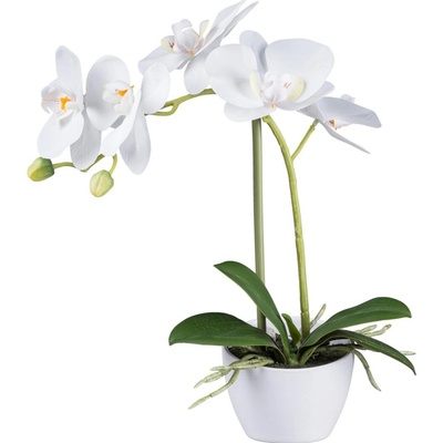 Gasper Gasper Orchidea v bielej melamínovej nádobe, 33 cm, biela