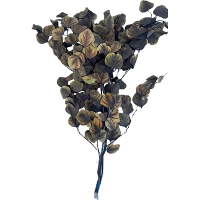 Eucalyptus dvoubarevný tmavý