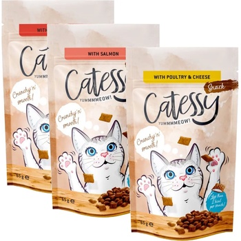 Catessy 65г Crunchy Snacks Catessy, лакомство за котки - птиче и кашкавал, Antihairball, сьомга витамини