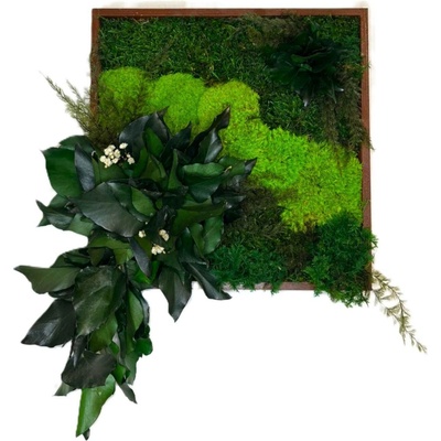 Mechový obraz s rostlinami 3D - čtverec Velikost: 30x30cm