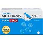 JM Sante Multiway Vet Duocaps Relief Max 60 таблетки