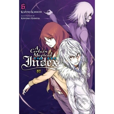A Certain Magical Index Nt, Vol. 6 (Light Novel)