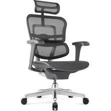 Antares Ergohuman 2 Ultra