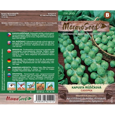 MORAVOSEED Kapusta růžičková CASIOPEA