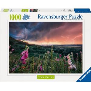 Ravensburger Пъзел Ravensburger от 1000 части - Идва буря (12000793)