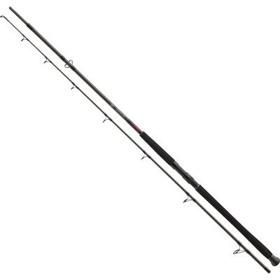 Daiwa Exceler Catfish Boje 3 m 200-600 g 2 diely
