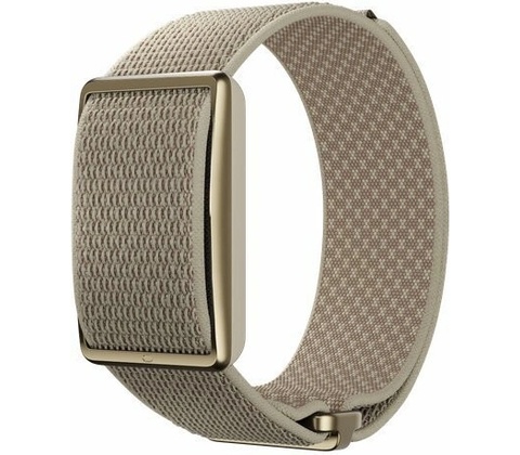 POLAR Loop Gen2 S-L