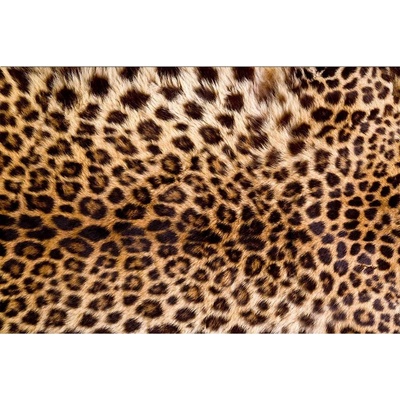 DIMEX MS-5-0184 vliesová fototapeta na zeď Leopardia koža rozmery 375 x 250 cm