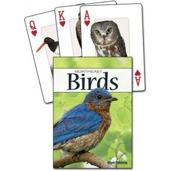 Adventure Pubns Birds of the Northeast Playing Cards | Stan Tekiela