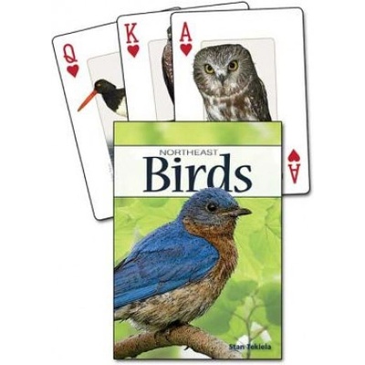 Adventure Pubns Birds of the Northeast Playing Cards | Stan Tekiela