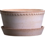 Bergs Potter Саксия Helena ниска с поставка 11 x 21 см розова (HR21US)