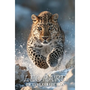Leopard Photo Collection | Ymi Collection (2026)
