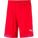 Puma Cup