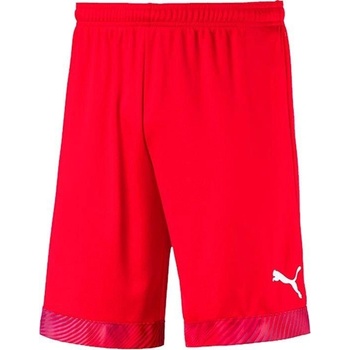 Puma Cup