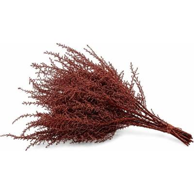 STOEBE DIP DYED RED SLEEVE ( 150 g )