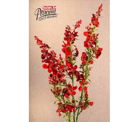 ŠANTA ČERVENÁ 75 cm