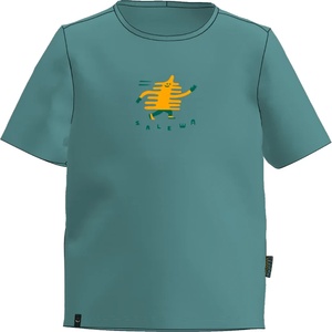 Salewa Детска тениска Salewa Kid's Graphic T-Shirt - Willow - размер 104 (EU) (704-5543-0312)