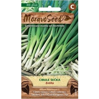 Semínka MoravoSeed Cibule zimní ENTITA, sečka 60898